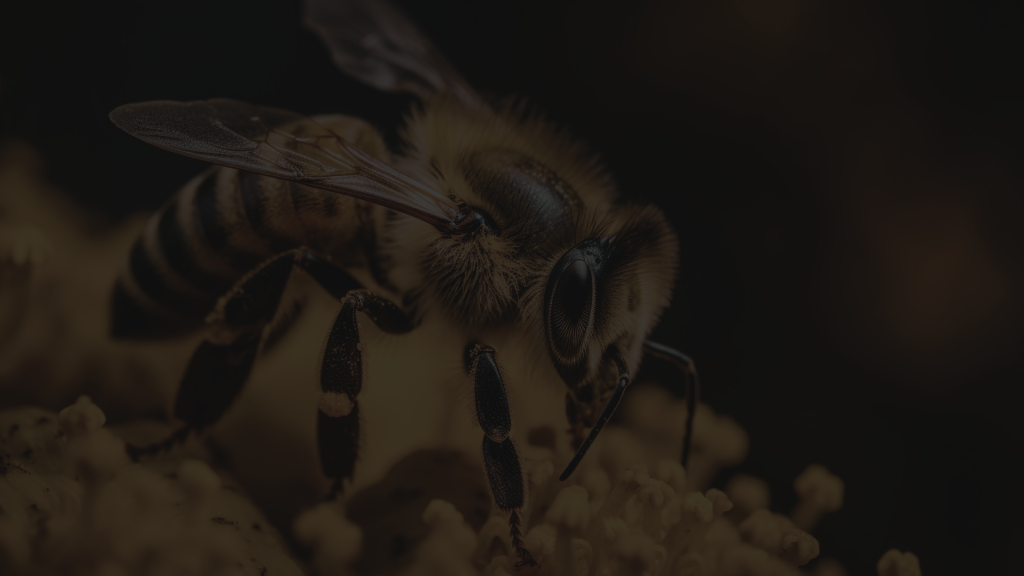 Data maturity is not a buzzword — it’s a starting point